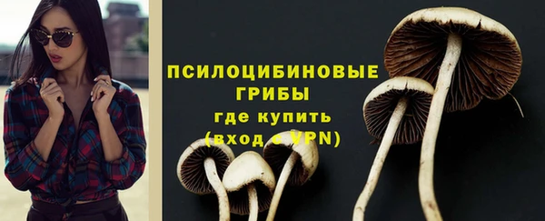 PSILOCYBIN Армянск
