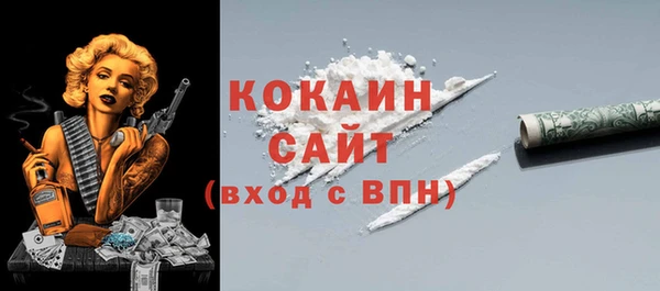 твердый Арсеньев