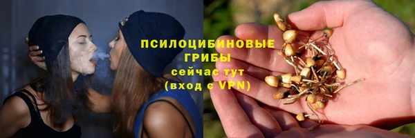 PSILOCYBIN Армянск