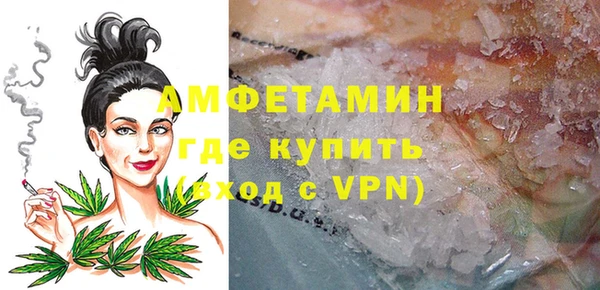 твердый Арсеньев