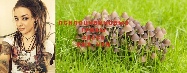 гидропоника Аркадак