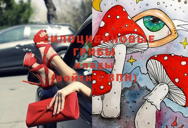 PSILOCYBIN Армянск