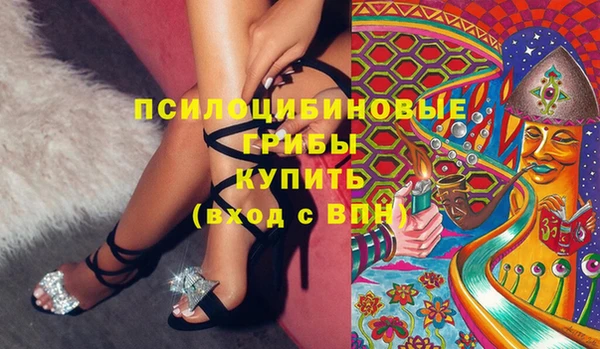 твердый Арсеньев
