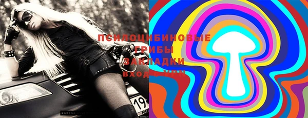 PSILOCYBIN Армянск